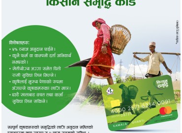 category photo