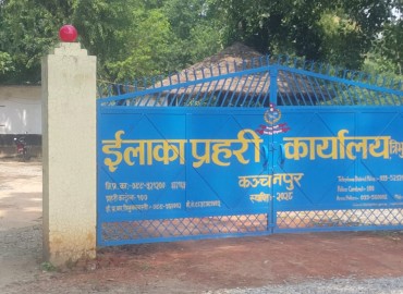 category photo