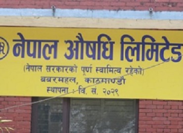 category photo