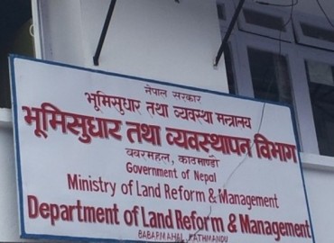 category photo