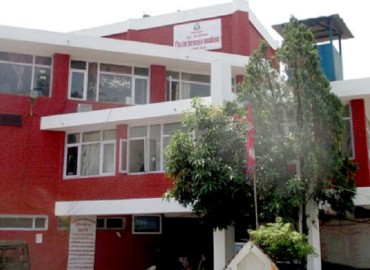 category photo