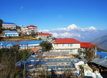category photo