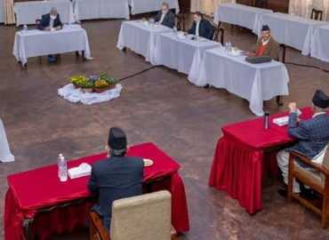 category photo
