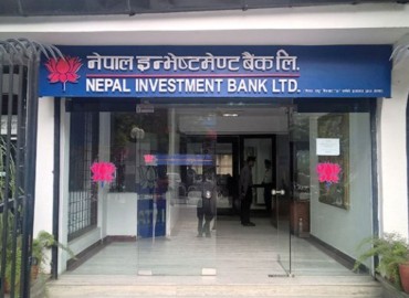 category photo