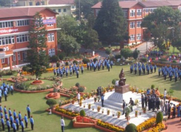 category photo