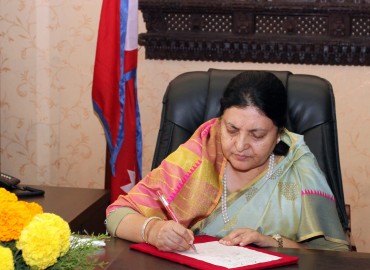 category photo