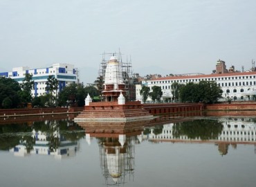 category photo