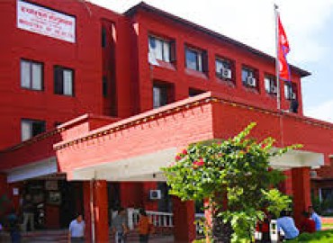 category photo