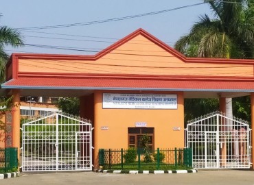 category photo