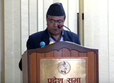 category photo