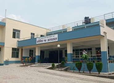 category photo
