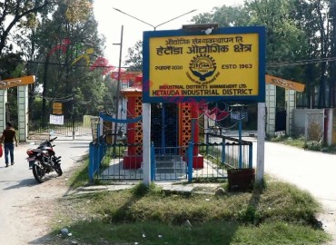 category photo