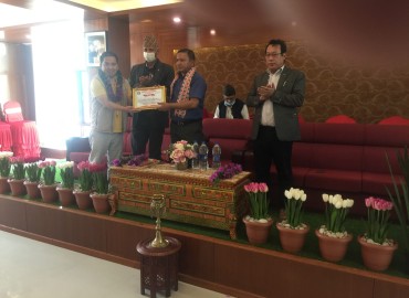 category photo