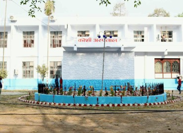 category photo
