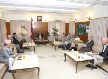 category photo