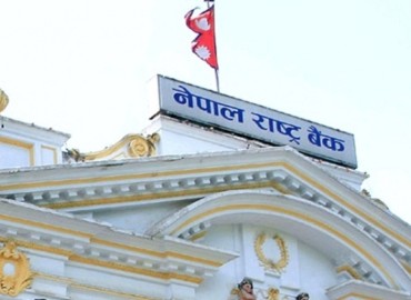category photo