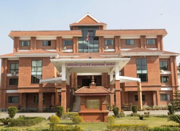 category photo