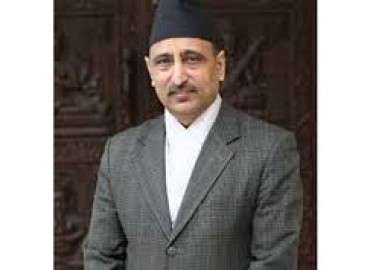 category photo