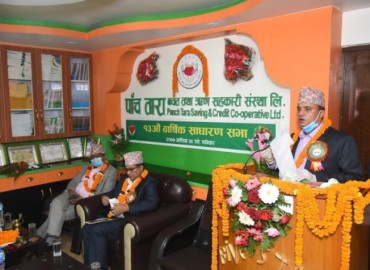 category photo