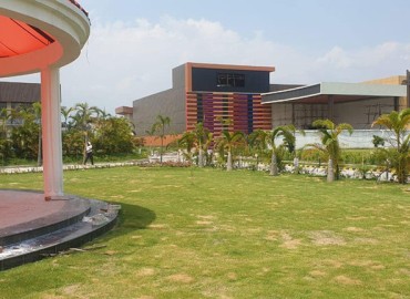 category photo