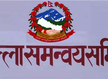 category photo