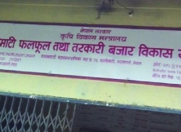 category photo