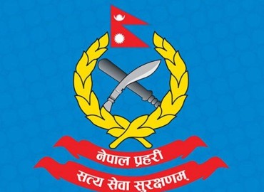 category photo