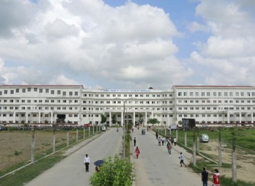 category photo