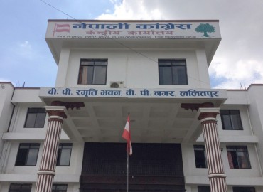 category photo