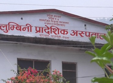 category photo