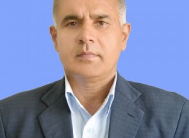 category photo