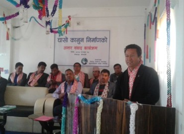 category photo