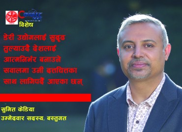 category photo