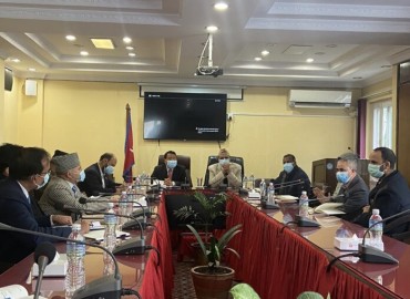 category photo