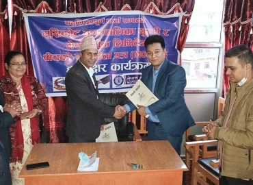 category photo