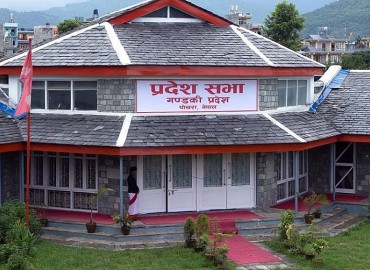 category photo