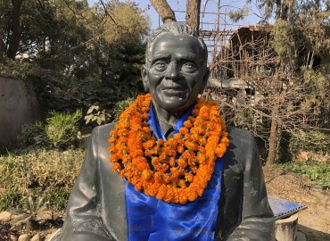 category photo
