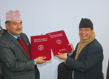 category photo