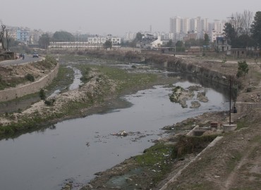 category photo