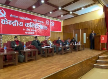 category photo
