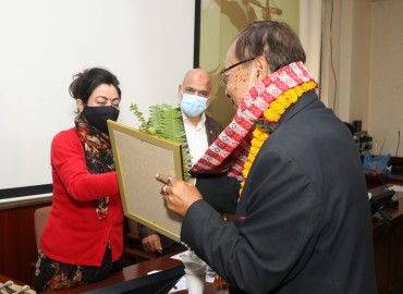 category photo