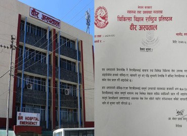 category photo