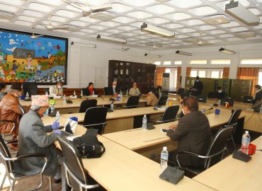 category photo