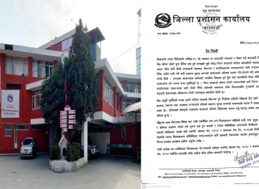 category photo