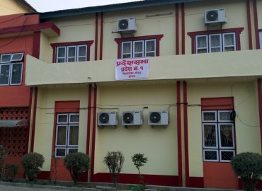 category photo