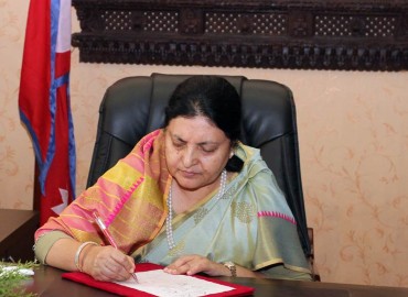 category photo
