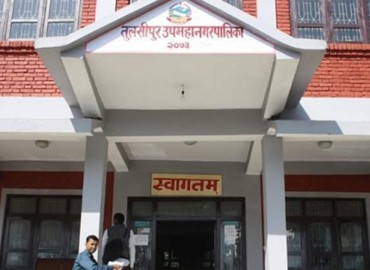 category photo