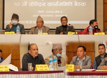 category photo