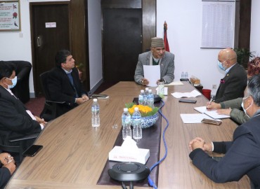 category photo