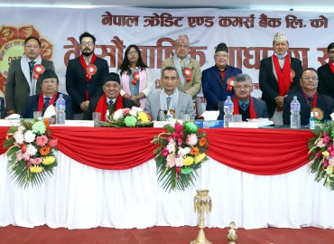 category photo